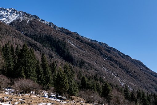 Free Shuangqiaogou Siguniangshan Town photo and picture