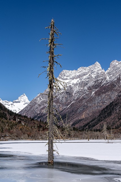 Free Sigu Nacuo Potala Peak photo and picture