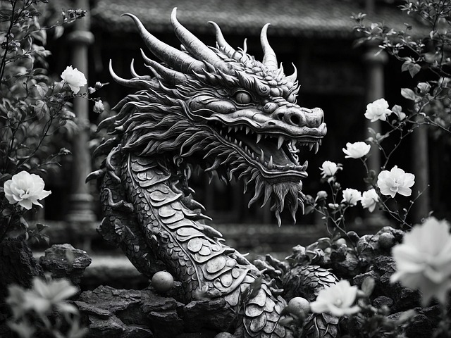 Free dragon china new year illustration