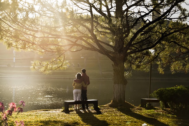 Free Morning Sunshine photo and picture