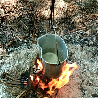 Free Bushcraft Survival photo and picture