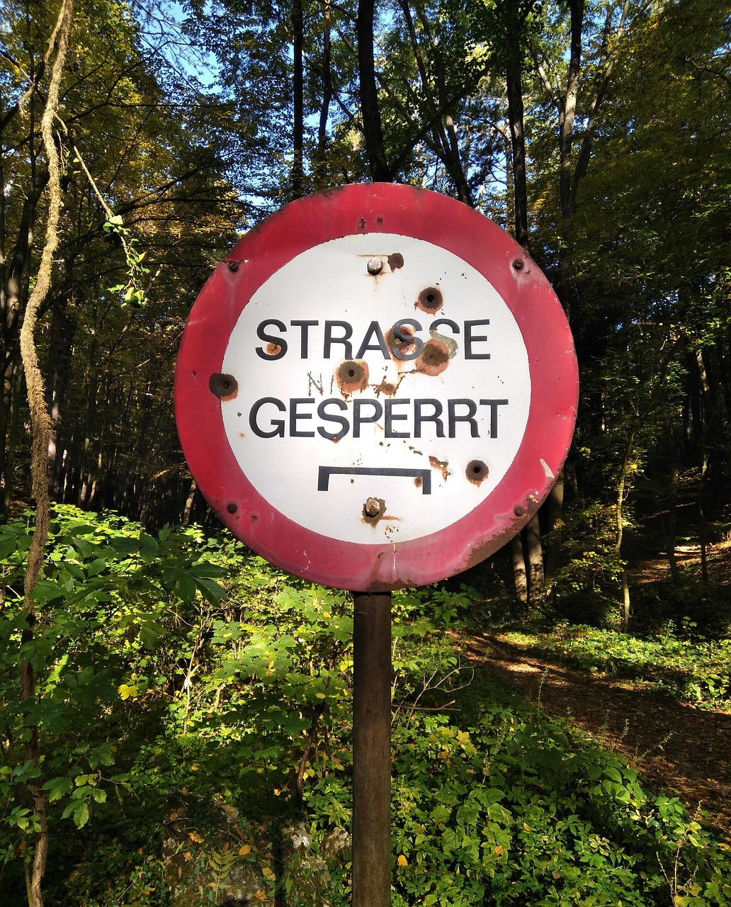 Open Sign Nature Sign Forest Nature - Free photo on Pixabay - Pixabay