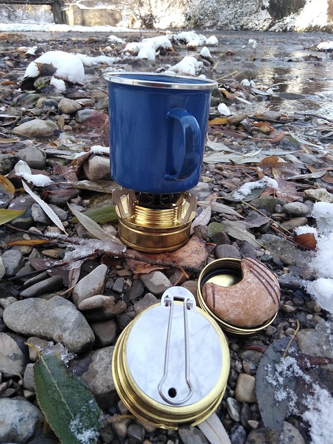 Free Cooking In The Forest Forest photo and picture