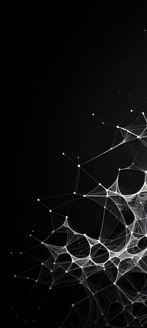 Free intricate web black and white spider glistens illustration
