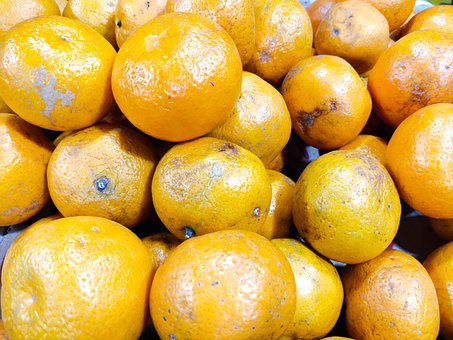 Oranje, Natuurlijk, Plant, Geel