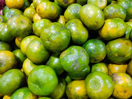 Sinaasappels, Fruit, Eten, Vers, Rijp