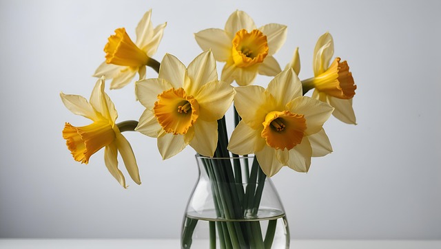 Free ai generated daffodils yellow illustration