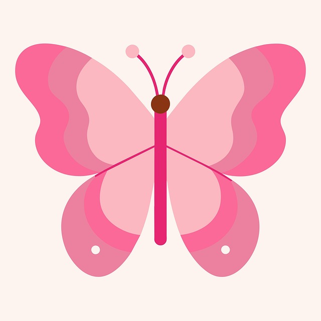 Free pink butterfly insect illustration