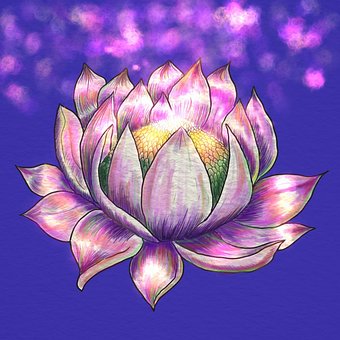 Free Lotus Flower illustration and picture