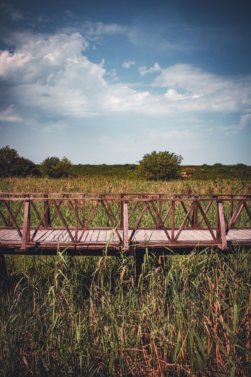 Puente Hierba Cielo - Foto gratis en Pixabay - Pixabay