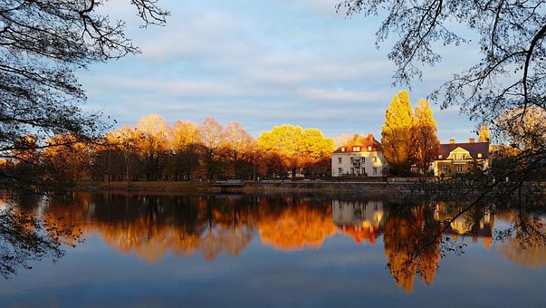 Free Autumn Nature photo and picture