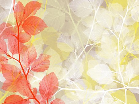 Blade, Baggrund, Efterår, Scrapbooking