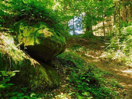 Free The Path Rocks photo and picture