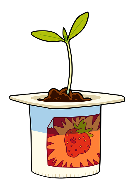 Plante, Frøplante, Spire, Yoghurt, Grøn
