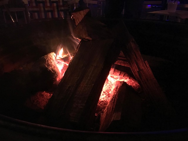 Free Fire Spruce photo and picture
