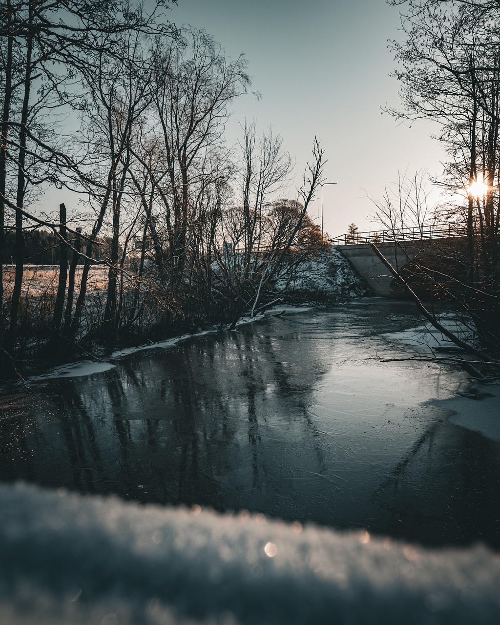 Reflection Winter Wood - Free photo on Pixabay