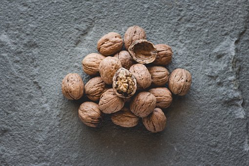 Free Nuts Walnuts photo and picture