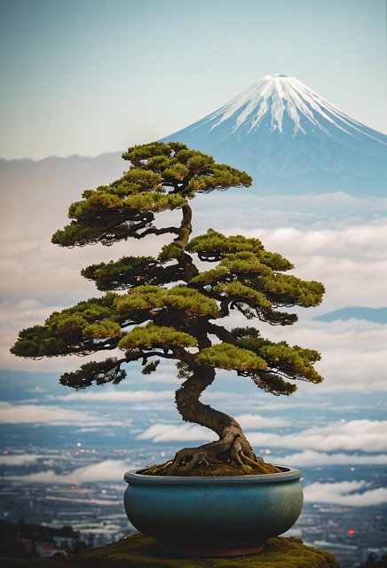Bonsai, Strauch, Kleiner Baum, Pflanzen