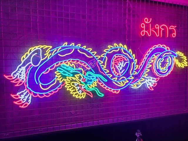 Free Neon Dragon photo and picture