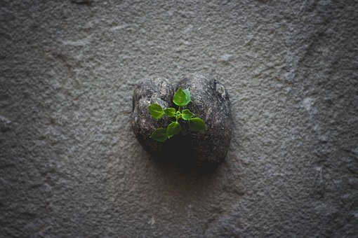 Free Stone Rock photo and picture