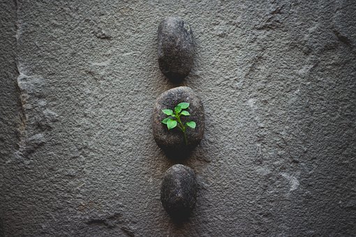 Free Stone Rock photo and picture