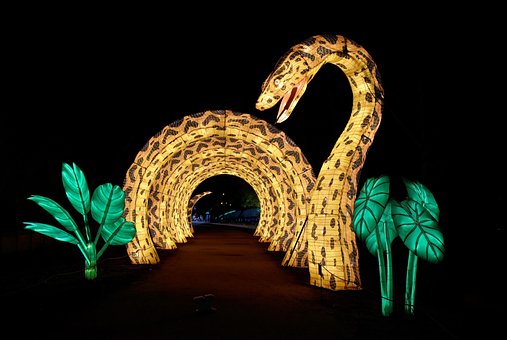Snake, Licht, Exposition, Tier, Reptil