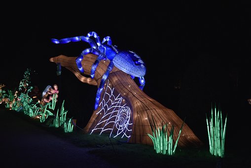 Tier, Spinne, Blau, Nacht, Struktur