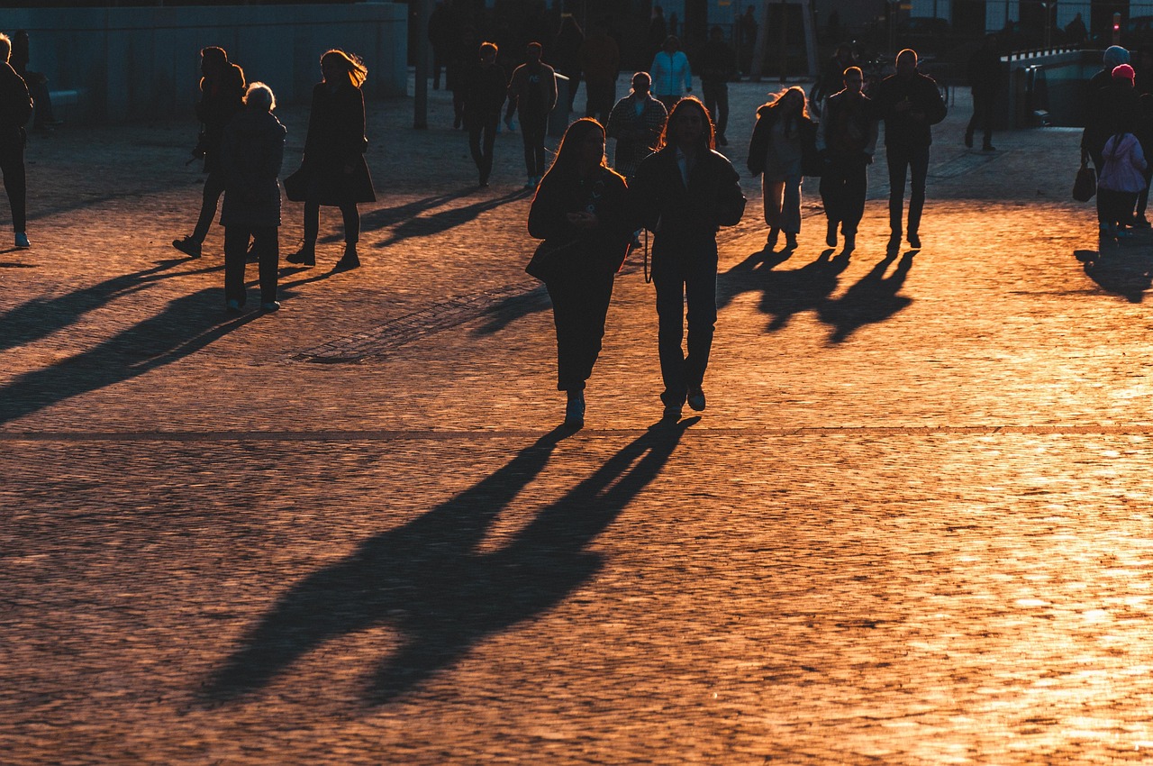 1 400 000 Free Nature Silhouette Silhouette Images Pixabay