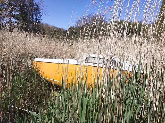 Free Boat Absurd photo and picture
