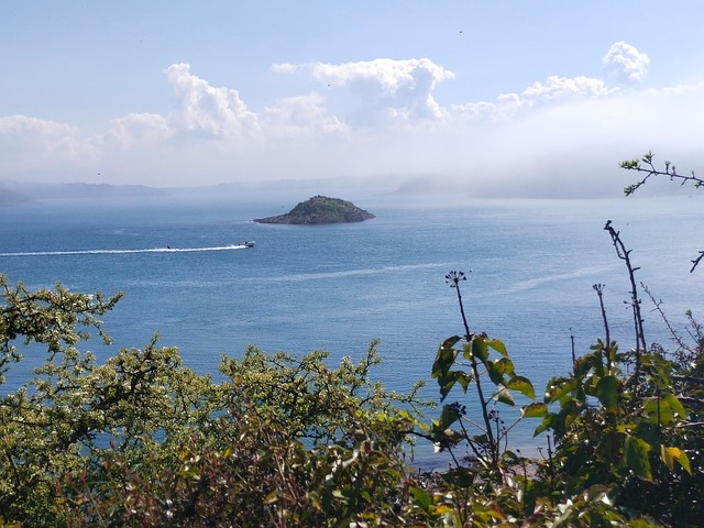 Free Estuary Sea photo and picture