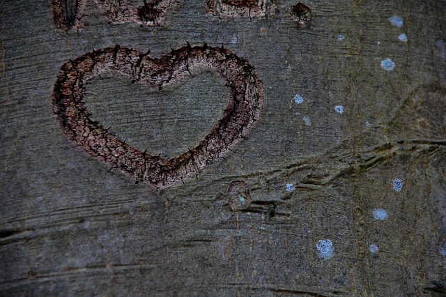 Free Heart Tree photo and picture