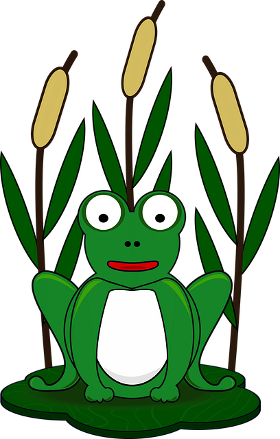 Free frog water lily batrachian illustration