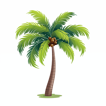 Free Palm Tree Tree illustration and picture