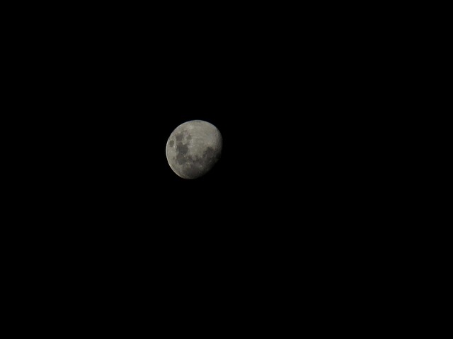 Free Moon Night photo and picture