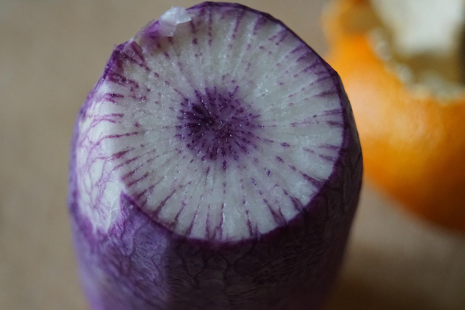 Radis Légume Violet - Photo gratuite sur Pixabay - Pixabay