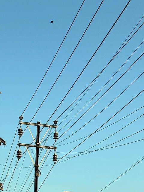Elektricitet, Energi, Smitte, Pol