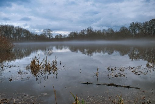 Free Lake Water photo and picture