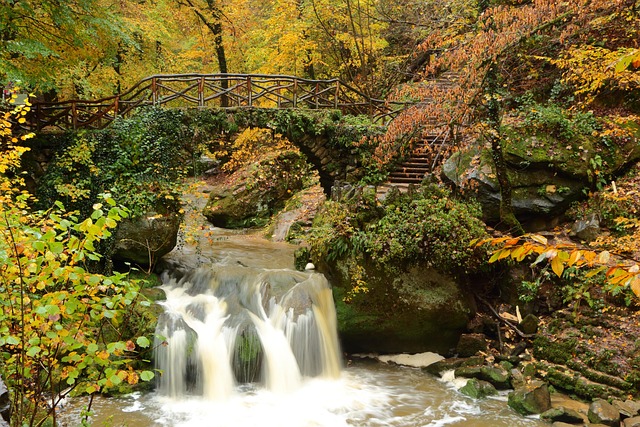 Free Water River photo and picture