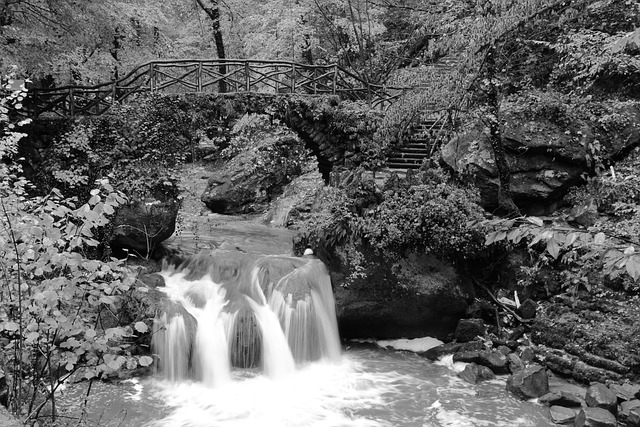 Free Black And White Mullertahl photo and picture
