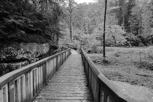 Free Pontoon Wooden Pontoon photo and picture