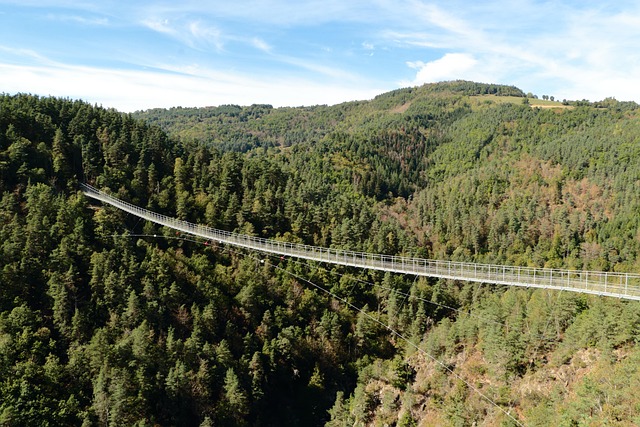 Free Bridge Lignon Footbridge photo and picture