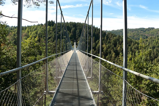 Free Himalayan Gateway Bridge photo and picture