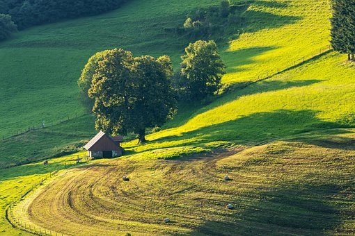 Free Landscape Field photo and picture