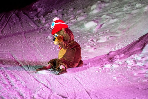 Bamse, Plys, Sjovt, Vinter, Sne, Gled
