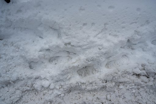 Vinter, Sne, Natur, Kold, Tåge, Fodspor