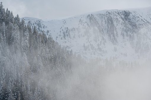 Winter, Schnee, Natur, Landschaft, Wald