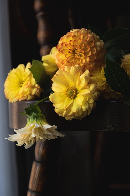 Ai Generert, Gul, Blomster, Bloom, Natur
