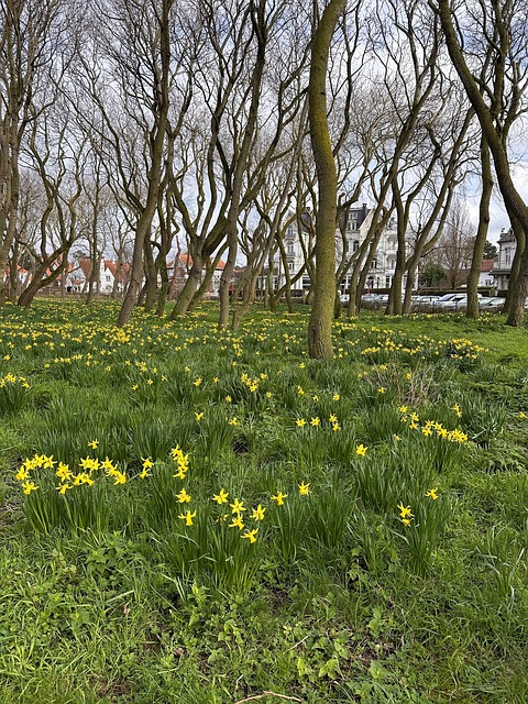 Free Spring Nature photo and picture