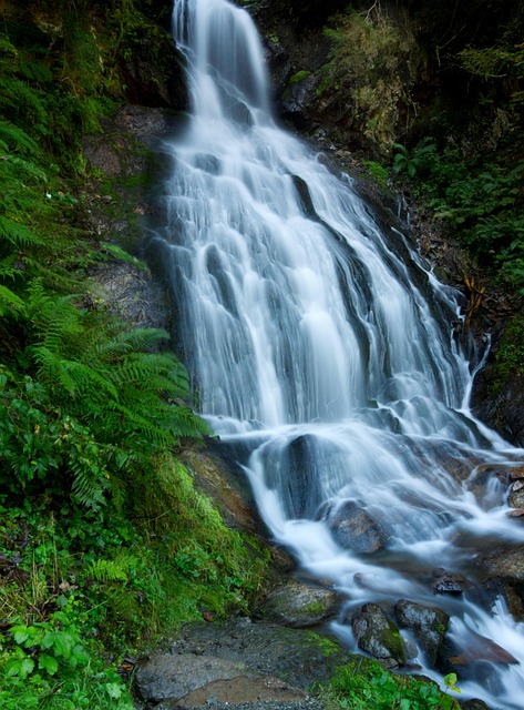 Free Waterfall Montafon photo and picture