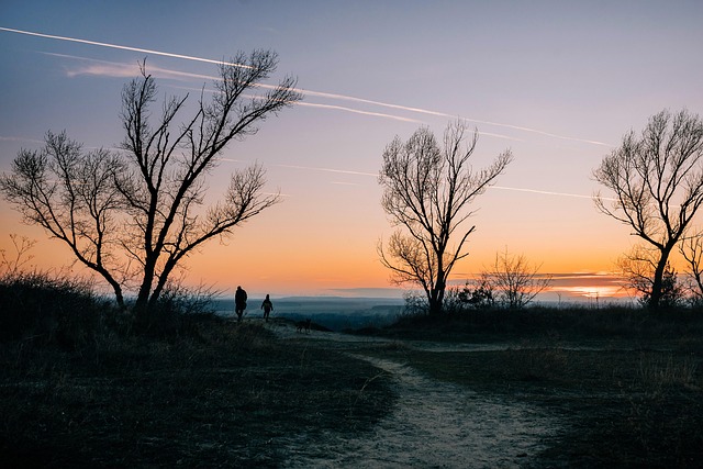 Free landscape sunset dusk illustration